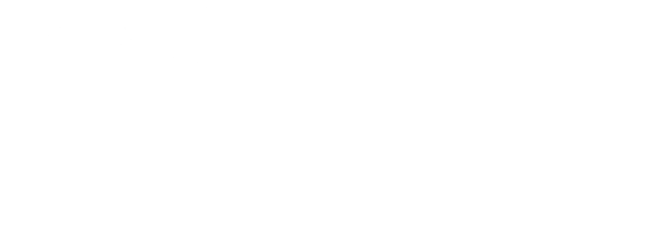 Wonderland Tours & Travels